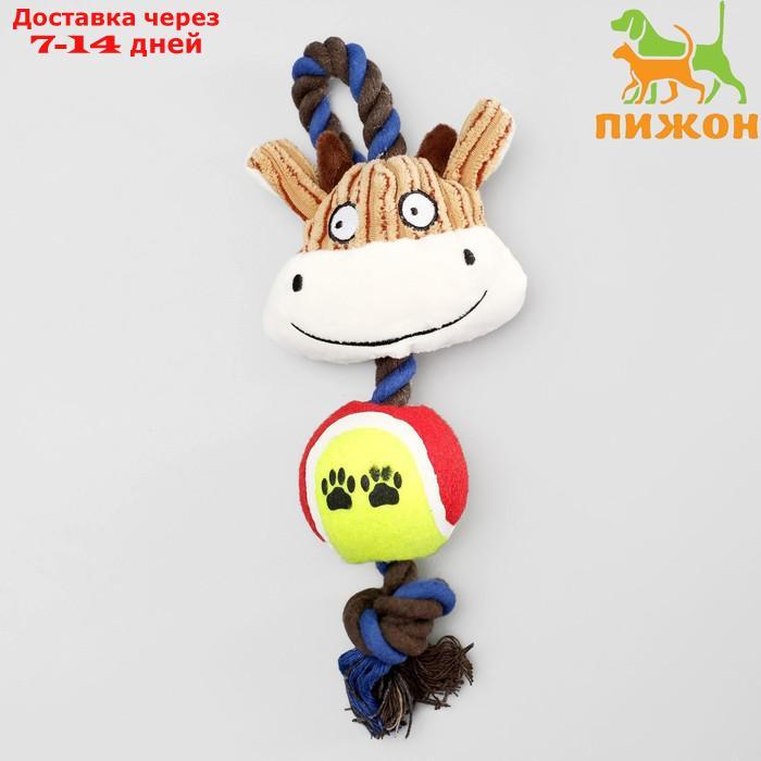 Игрушка для собак 3-в-1 "Корова": канатная, мягкая с пищалкой, войлочный мяч, 30 см - фото 1 - id-p216016080