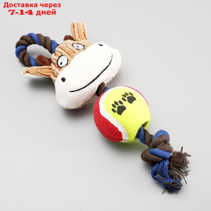 Игрушка для собак 3-в-1 "Корова": канатная, мягкая с пищалкой, войлочный мяч, 30 см - фото 2 - id-p216016080