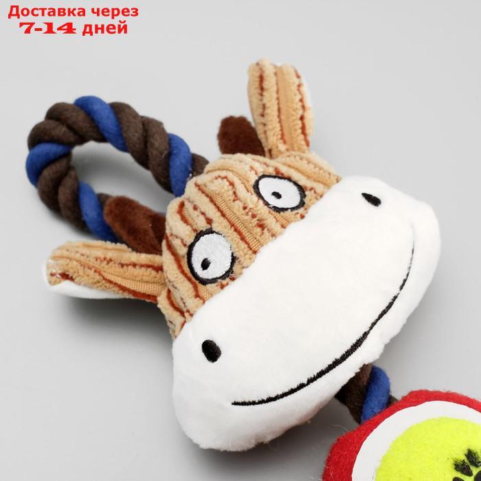 Игрушка для собак 3-в-1 "Корова": канатная, мягкая с пищалкой, войлочный мяч, 30 см - фото 3 - id-p216016080