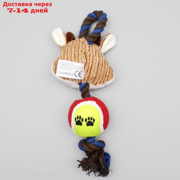 Игрушка для собак 3-в-1 "Корова": канатная, мягкая с пищалкой, войлочный мяч, 30 см - фото 4 - id-p216016080