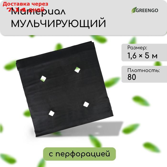 Материал мульчирующий, с перфорацией, 5 × 1,6 м, плотность 80, с УФ-стабилизатором, чёрный, Greengo, Эконом