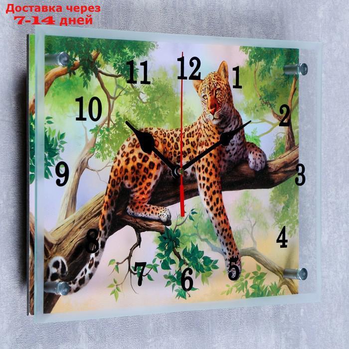 Часы настенные прямоугольные "Леопард на ветке", 25х35 см - фото 2 - id-p216015177
