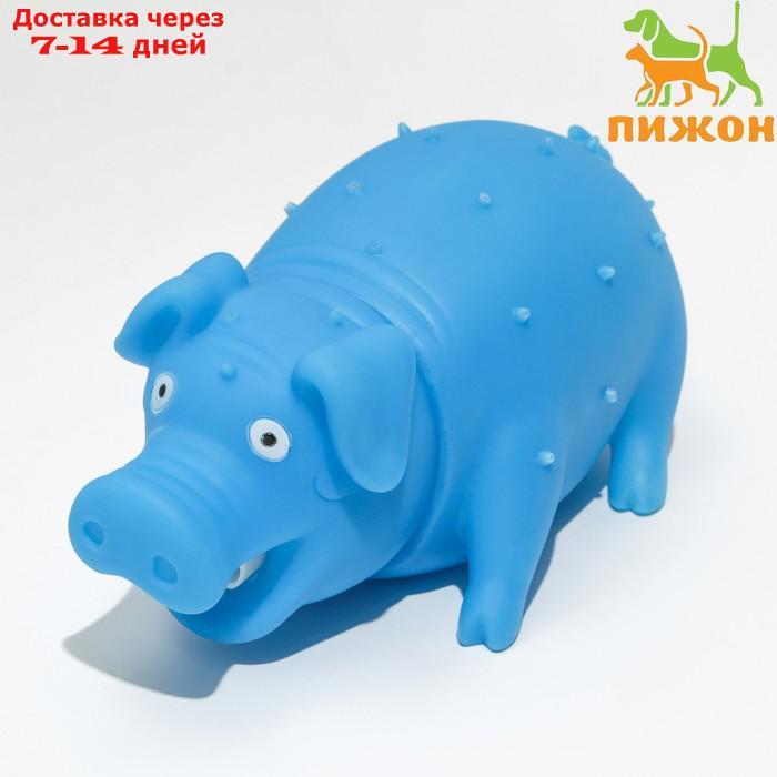 Игрушка пищащая "Веселая свинья" для собак, хрюкающая, светящаяся, 19 см, голубая - фото 1 - id-p216143154