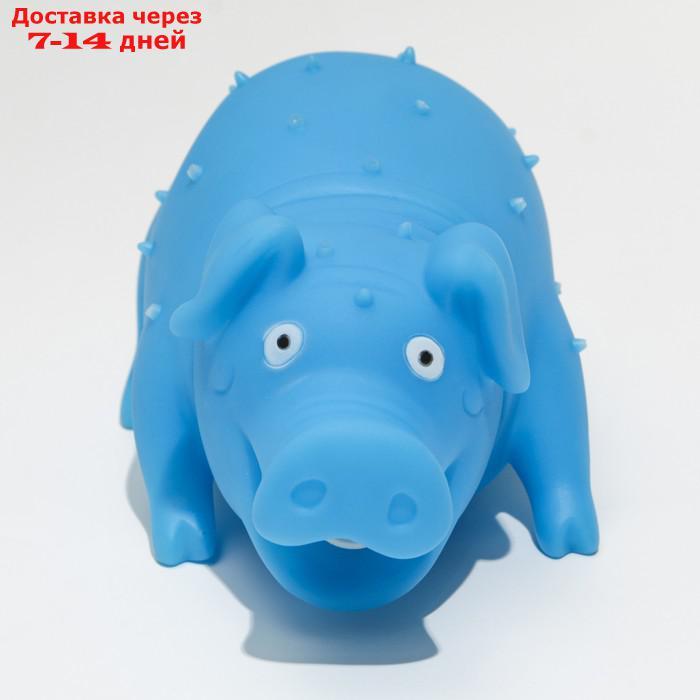 Игрушка пищащая "Веселая свинья" для собак, хрюкающая, светящаяся, 19 см, голубая - фото 2 - id-p216143154