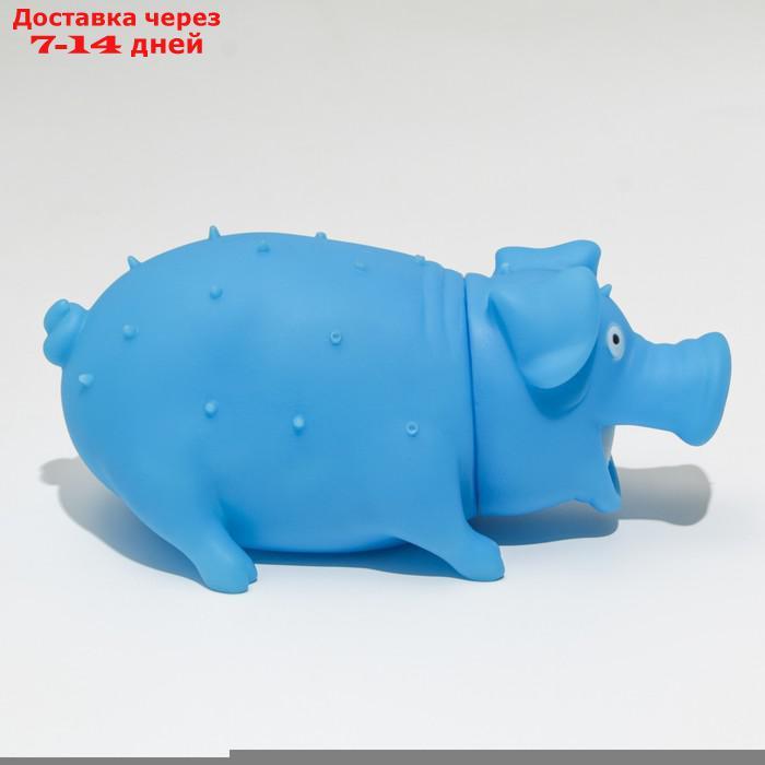 Игрушка пищащая "Веселая свинья" для собак, хрюкающая, светящаяся, 19 см, голубая - фото 3 - id-p216143154
