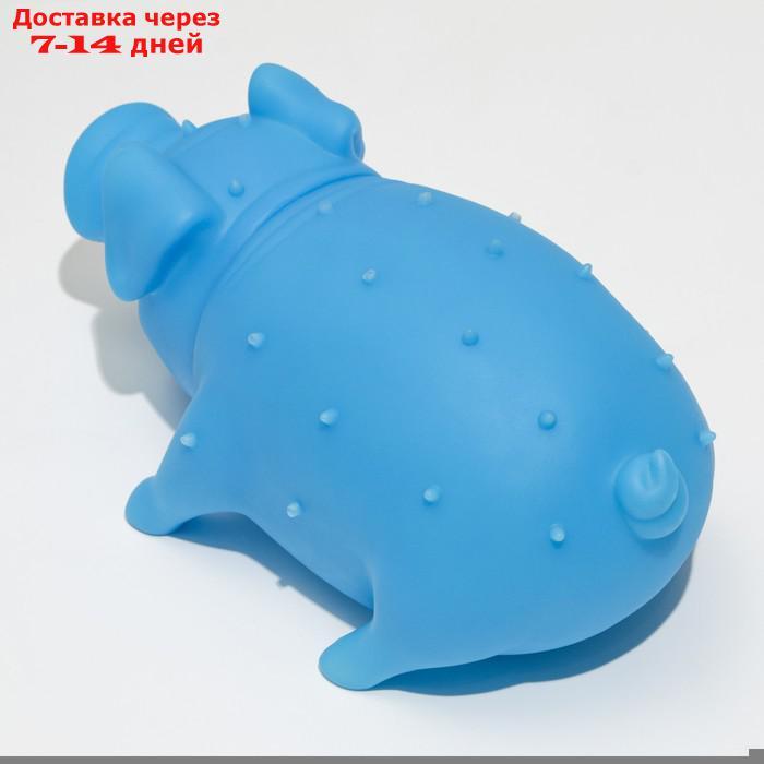 Игрушка пищащая "Веселая свинья" для собак, хрюкающая, светящаяся, 19 см, голубая - фото 4 - id-p216143154