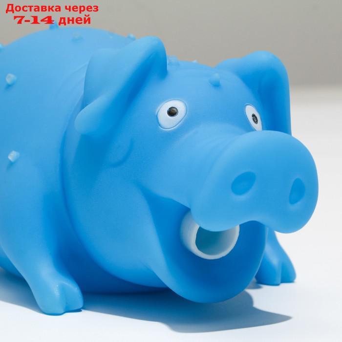 Игрушка пищащая "Веселая свинья" для собак, хрюкающая, светящаяся, 19 см, голубая - фото 5 - id-p216143154