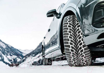 Зимняя шина Nokian Tyres WR SUV 4 255/50R19 107V - фото 5 - id-p216168365