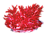 Набор Лучистые кристаллы Красный кристалл, фото 3