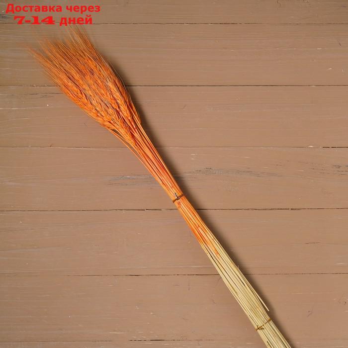 Сухой колос пшеницы, набор 50 шт., цвет оранжевый - фото 2 - id-p216017476