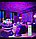 Проектор звездного неба – ночник Яйцо Дракона Galaxy Nightlight Projector с пультом ДУ Супер -цена!, фото 4