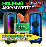 Большая портативная колонка с караоке микрофоном ELTRONIC 20-61 Bluetooth беспроводная музыкальная блютуз, фото 3