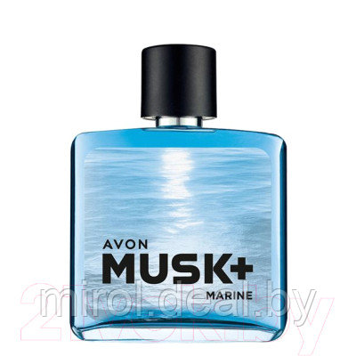 Туалетная вода Avon Musk Marine+ - фото 1 - id-p216241720