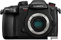 Беззеркальный фотоаппарат Panasonic DC-GH5S Body