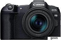 Беззеркальный фотоаппарат Canon EOS R8 Kit RF 24-50mm F4.5-6.3 IS STM