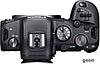 Беззеркальный фотоаппарат Canon EOS R6 Kit 24-105mm f/4-7.1, фото 3