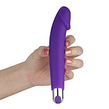 Классический перезаряжаемый вибратор IJoy Silicone Dildo, фото 2