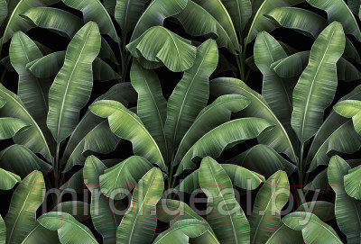 Фотообои листовые Vimala Листья патерн - фото 1 - id-p216326011