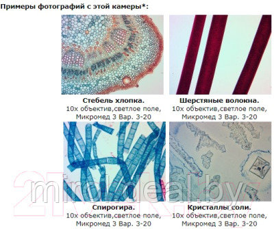 Камера цифровая для микроскопа Микромед ToupCam 14.0 MP / 23772 - фото 6 - id-p216324736