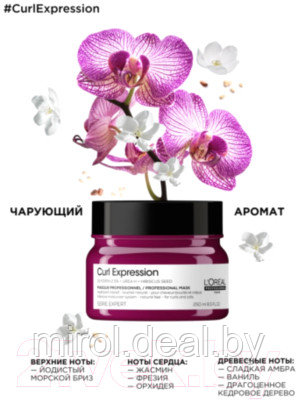 Маска для волос L'Oreal Professionnel Curl Expression Увлажняющая для кудрявых волос - фото 10 - id-p216324249