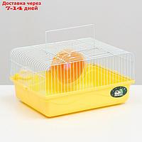 Клетка для грызунов, 31 х 24 х 17 см, жёлтая