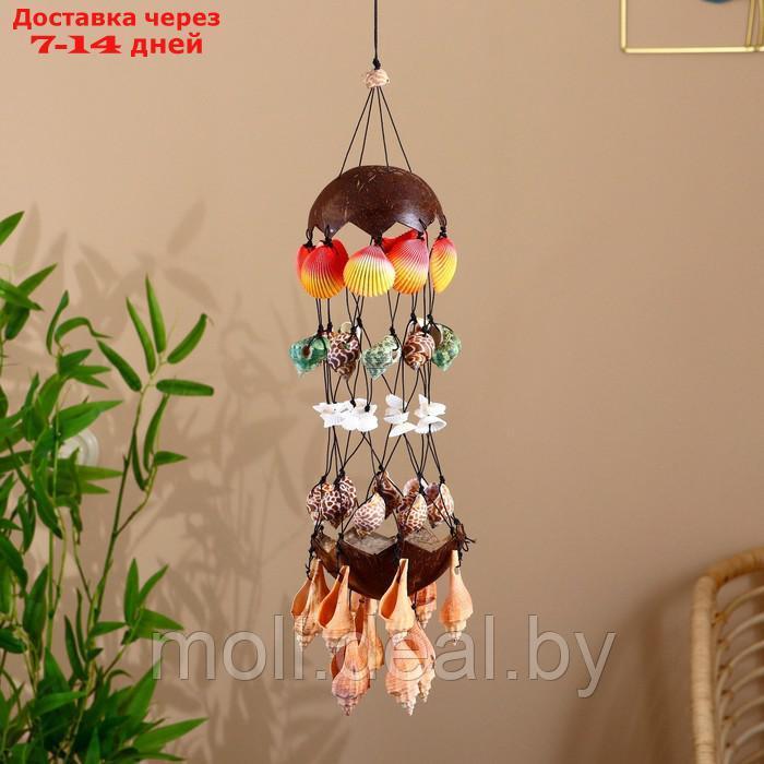 Подвесной сувенир "Дары моря" ракушки, кокос 13х13х65 см - фото 1 - id-p216354220