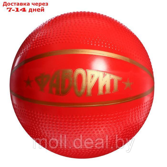 Мяч диаметр 200 мм "Фаворит" Р2-200/Фа - фото 1 - id-p216353415