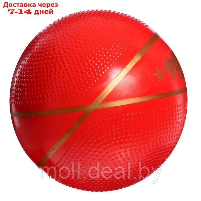 Мяч диаметр 200 мм "Фаворит" Р2-200/Фа - фото 2 - id-p216353415
