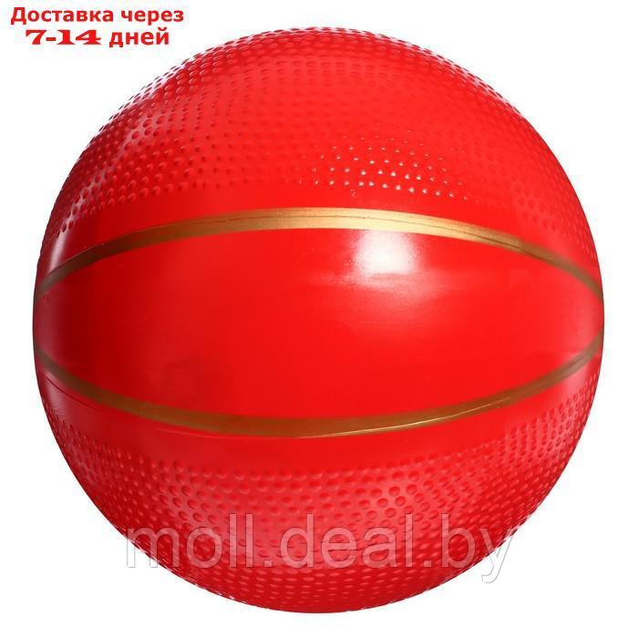 Мяч диаметр 200 мм "Фаворит" Р2-200/Фа - фото 3 - id-p216353415