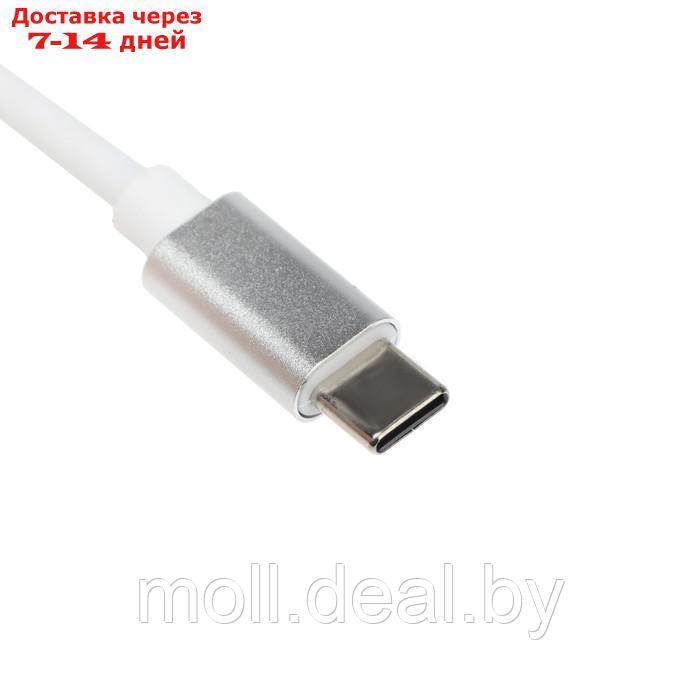 Адаптер Red Line Lite, Type-C - 2 USB/microUSB/microSD/SD, серебристый - фото 3 - id-p216349492