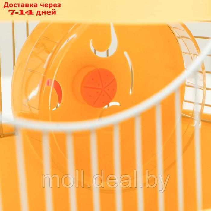 Клетка для грызунов "Пижон", укомплектованная с замком, 27 х 21 х 31 см, жёлтая - фото 6 - id-p216349627