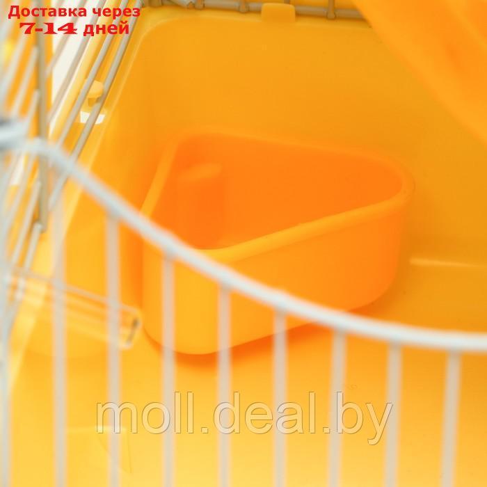 Клетка для грызунов "Пижон", укомплектованная с замком, 27 х 21 х 31 см, жёлтая - фото 7 - id-p216349627