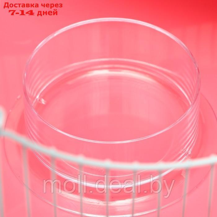 Клетка для грызунов "Пижон", укомплектованная с замком, 37 х 27 х 30 см, розовая - фото 7 - id-p216349628