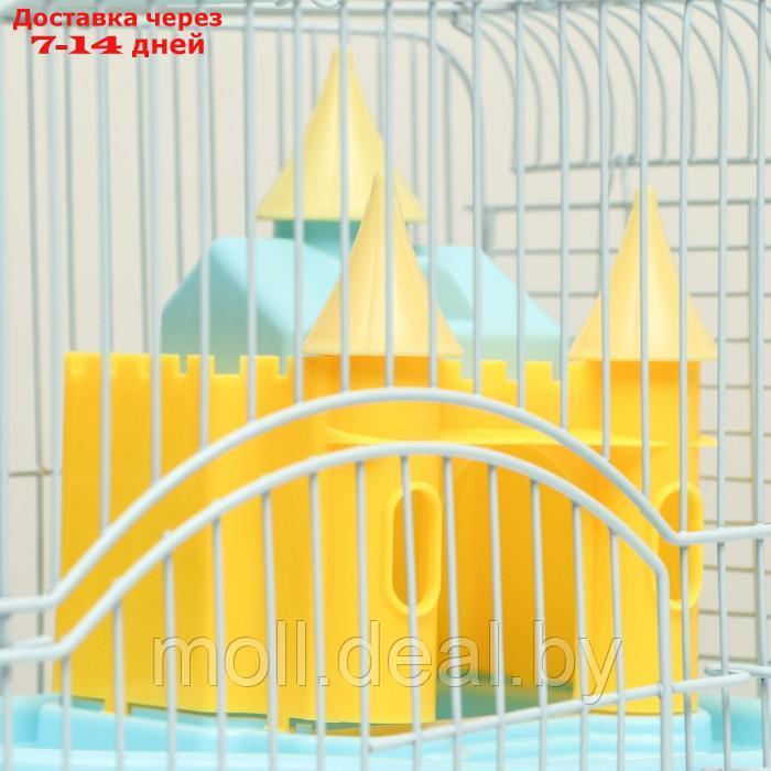 Клетка для грызунов "Пижон", укомплектованная с замком, 27 х 21 х 31 см, голубая - фото 4 - id-p216349629