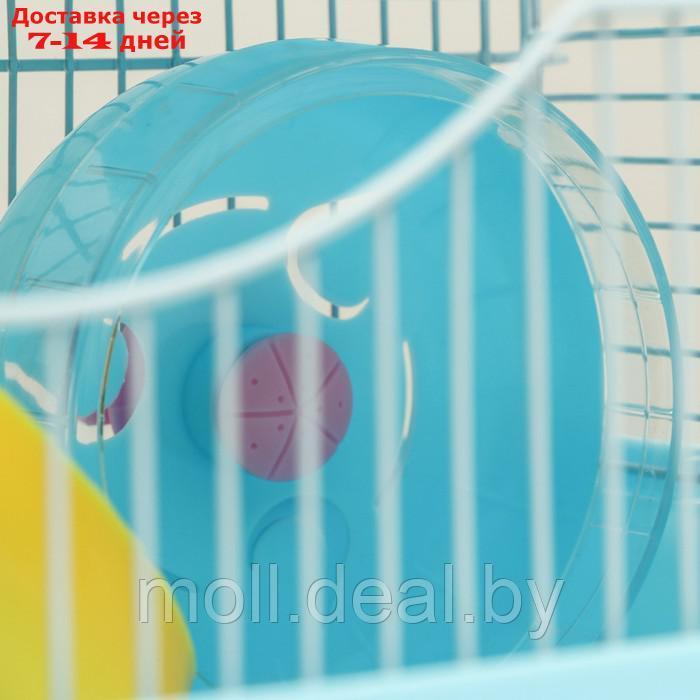Клетка для грызунов "Пижон", укомплектованная с замком, 27 х 21 х 31 см, голубая - фото 6 - id-p216349629