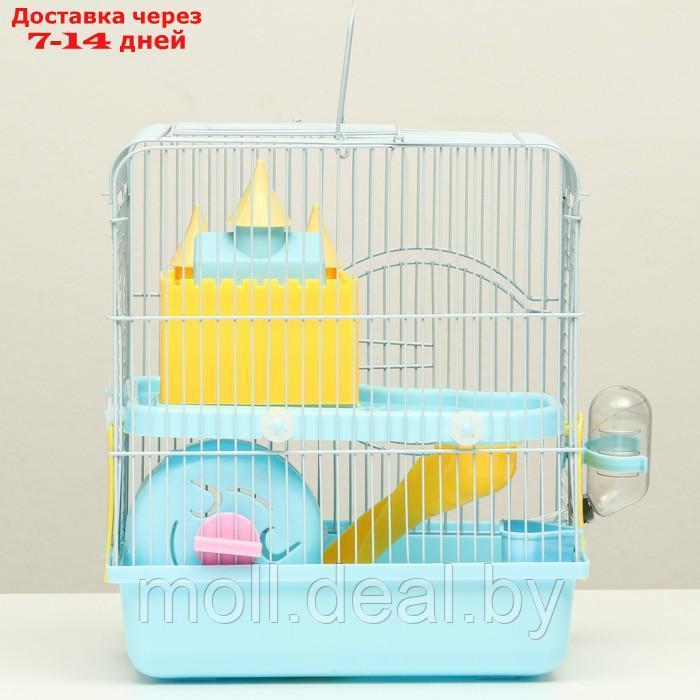 Клетка для грызунов "Пижон", укомплектованная с замком, 27 х 21 х 31 см, голубая - фото 9 - id-p216349629