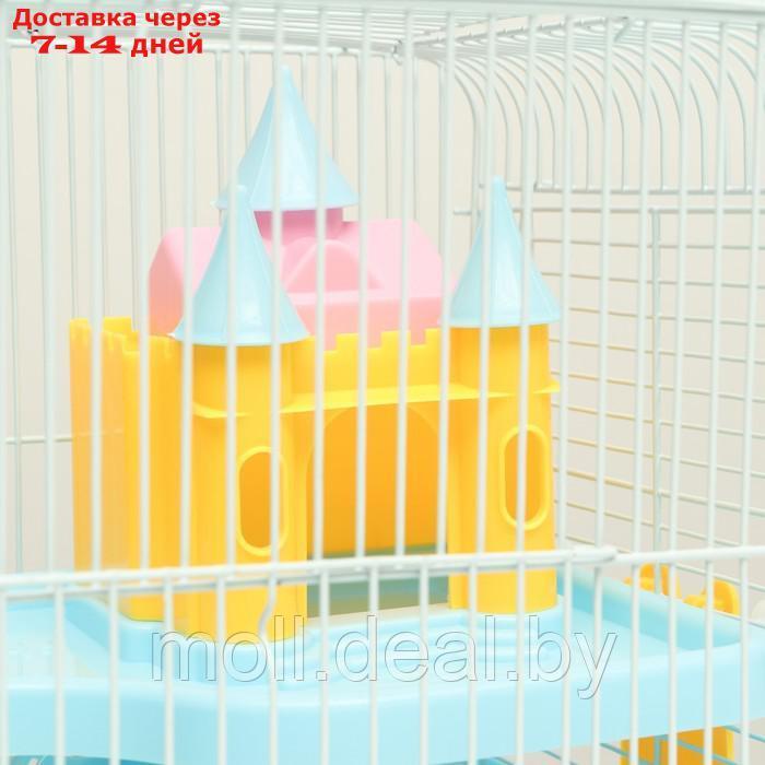 Клетка для грызунов "Пижон" с замком, 31 х 24 х 27 см, голубая - фото 4 - id-p216349630