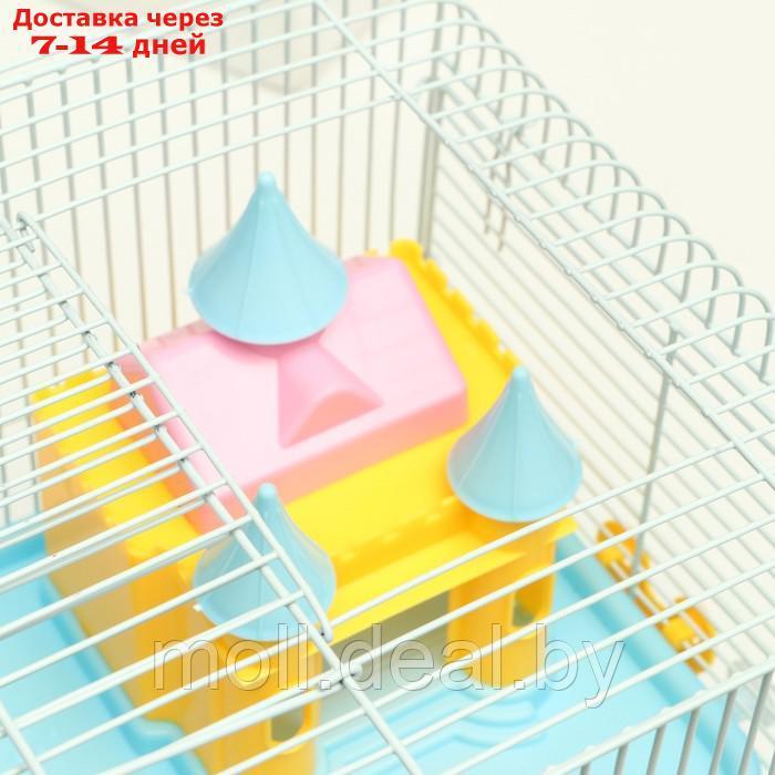 Клетка для грызунов "Пижон" с замком, 31 х 24 х 27 см, голубая - фото 8 - id-p216349630
