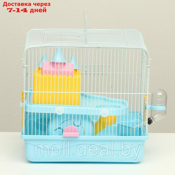 Клетка для грызунов "Пижон" с замком, 31 х 24 х 27 см, голубая - фото 9 - id-p216349630