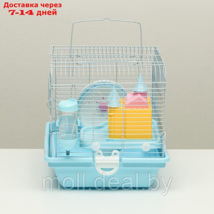 Клетка для грызунов "Пижон", укомплектованная с замком, 37 х 27 х 30 см, голубая - фото 2 - id-p216349631