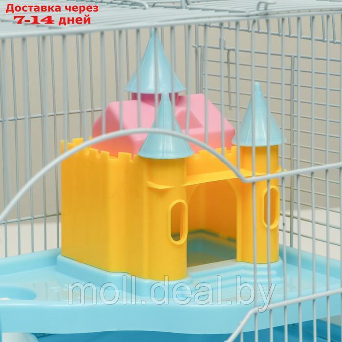 Клетка для грызунов "Пижон", укомплектованная с замком, 37 х 27 х 30 см, голубая - фото 4 - id-p216349631