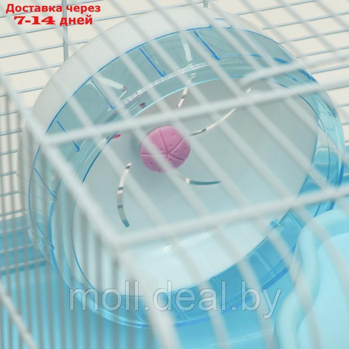 Клетка для грызунов "Пижон", укомплектованная с замком, 37 х 27 х 30 см, голубая - фото 6 - id-p216349631