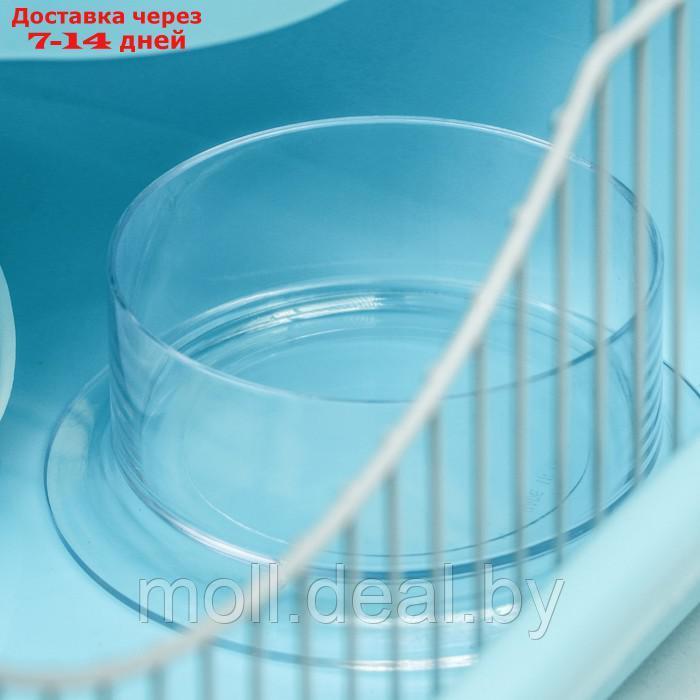 Клетка для грызунов "Пижон", укомплектованная с замком, 37 х 27 х 30 см, голубая - фото 7 - id-p216349631