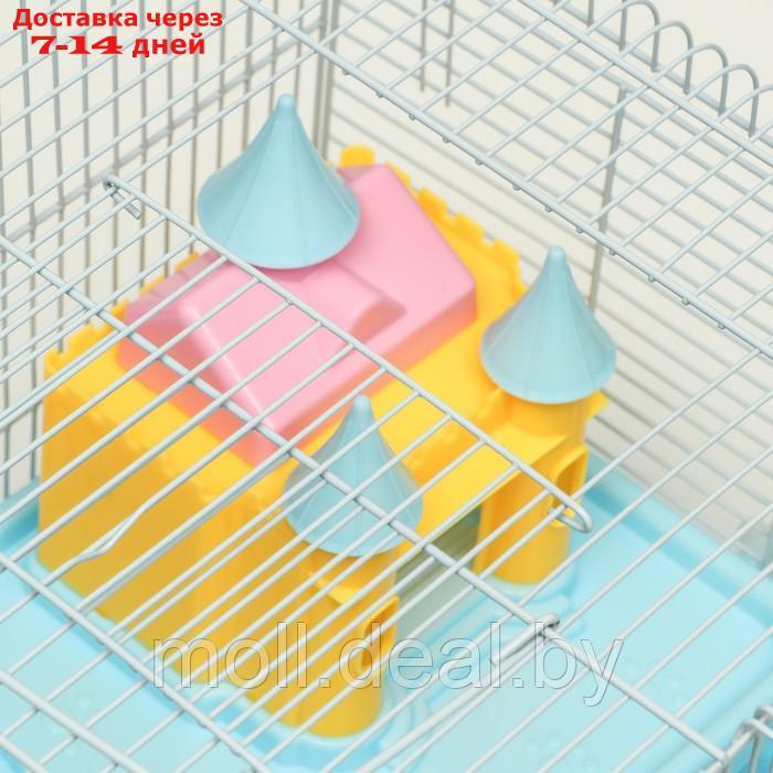 Клетка для грызунов "Пижон", укомплектованная с замком, 37 х 27 х 30 см, голубая - фото 8 - id-p216349631