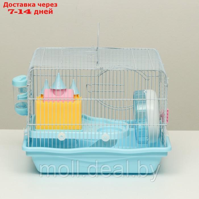 Клетка для грызунов "Пижон", укомплектованная с замком, 37 х 27 х 30 см, голубая - фото 9 - id-p216349631