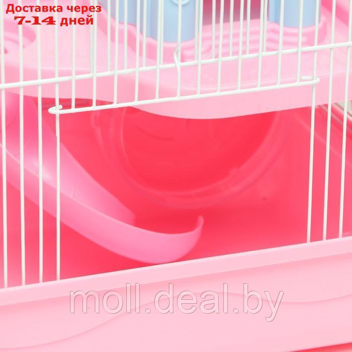 Клетка для грызунов "Пижон" с замком, 31 х 24 х 27 см, розовая - фото 3 - id-p216349632