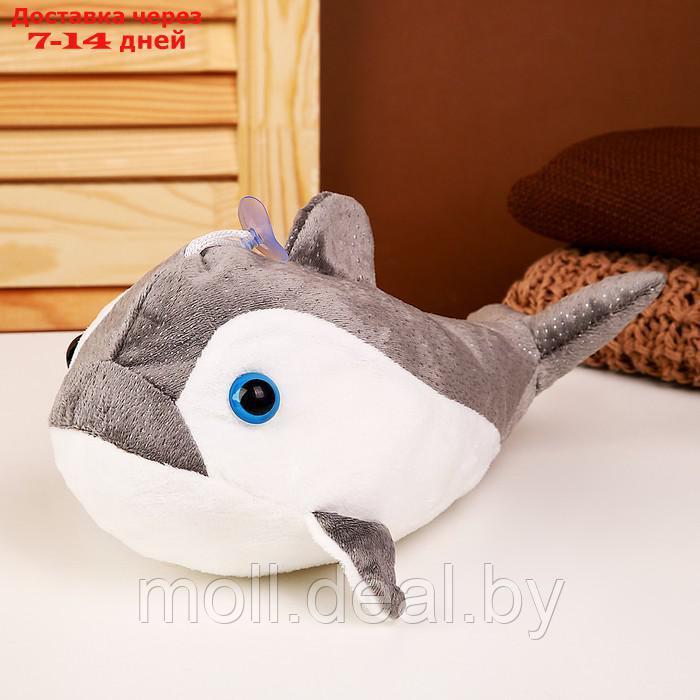 Мягкая игрушка "Акула", 25 см, цвет серый - фото 1 - id-p216353710