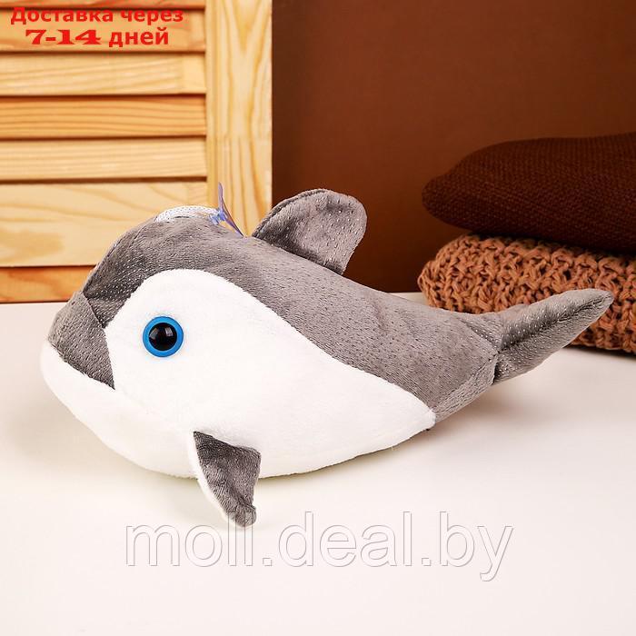 Мягкая игрушка "Акула", 25 см, цвет серый - фото 2 - id-p216353710