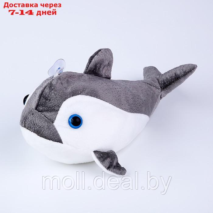 Мягкая игрушка "Акула", 25 см, цвет серый - фото 4 - id-p216353710