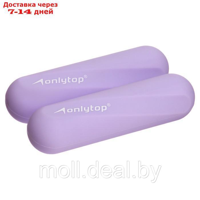 Гантели Onlytop для универсального отягощения 2 х 0,5 кг, цвет фиолетовый - фото 1 - id-p216354769